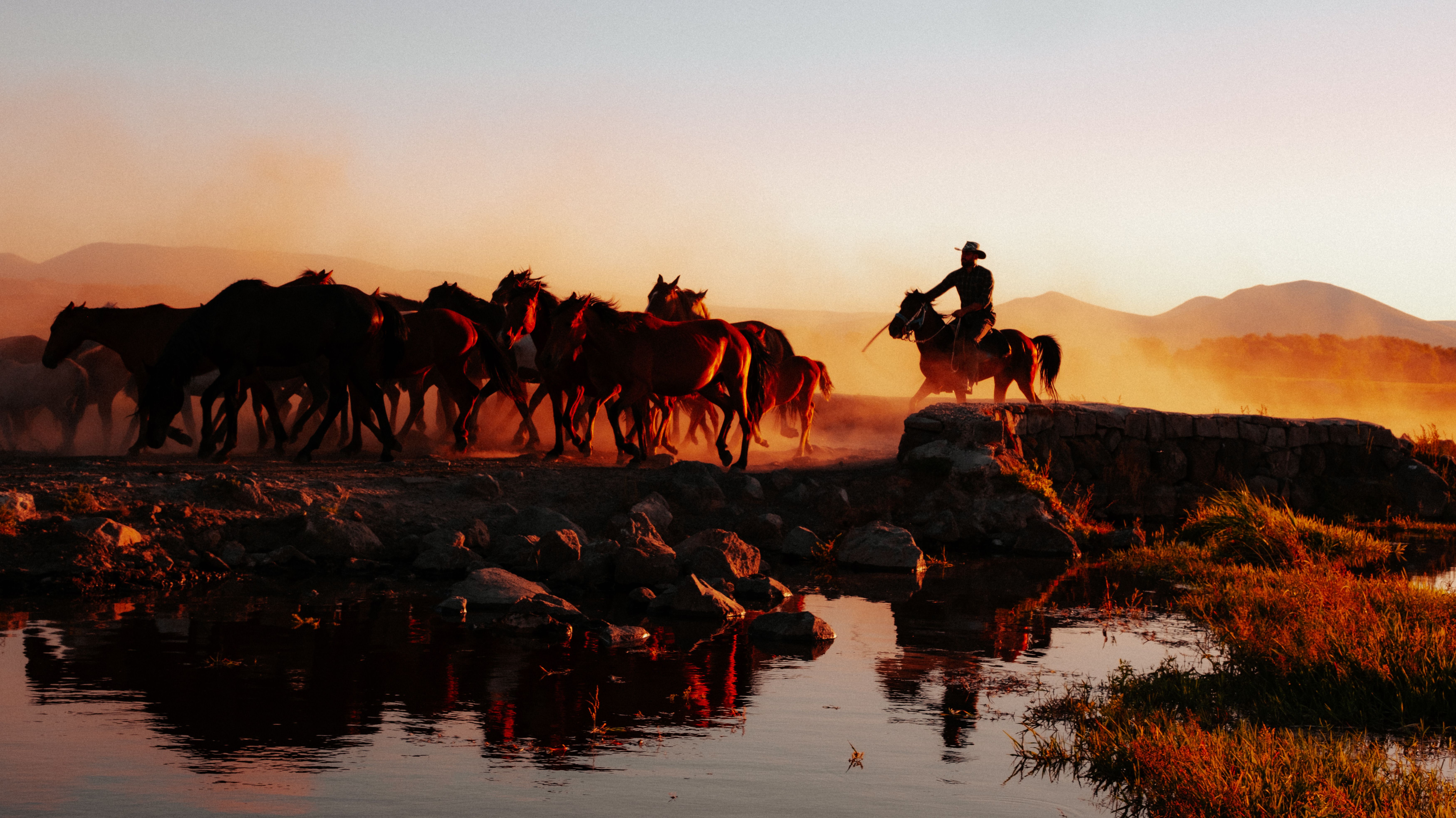 Türkiye’s population prefers Western lifestyle, survey shows — Photo by Furkan Elveren on Pexels