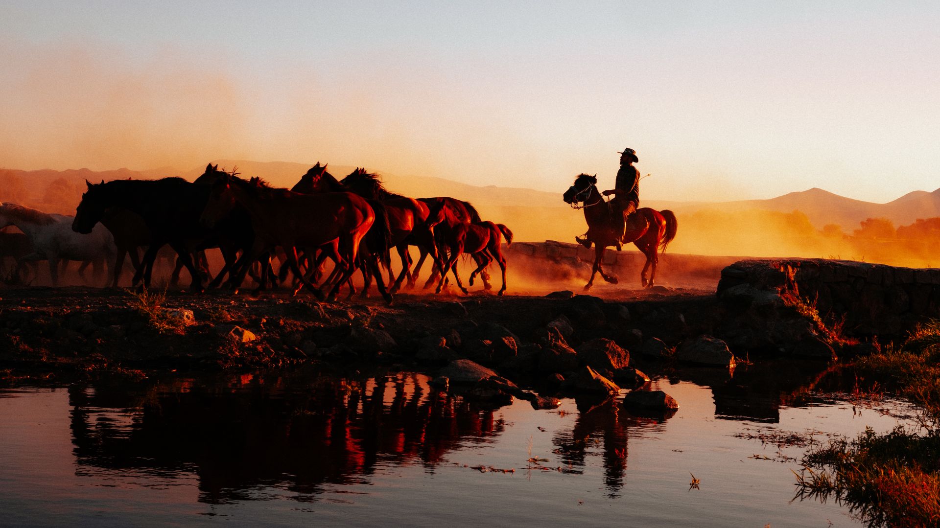 Wrangler with Herd at Sunrise