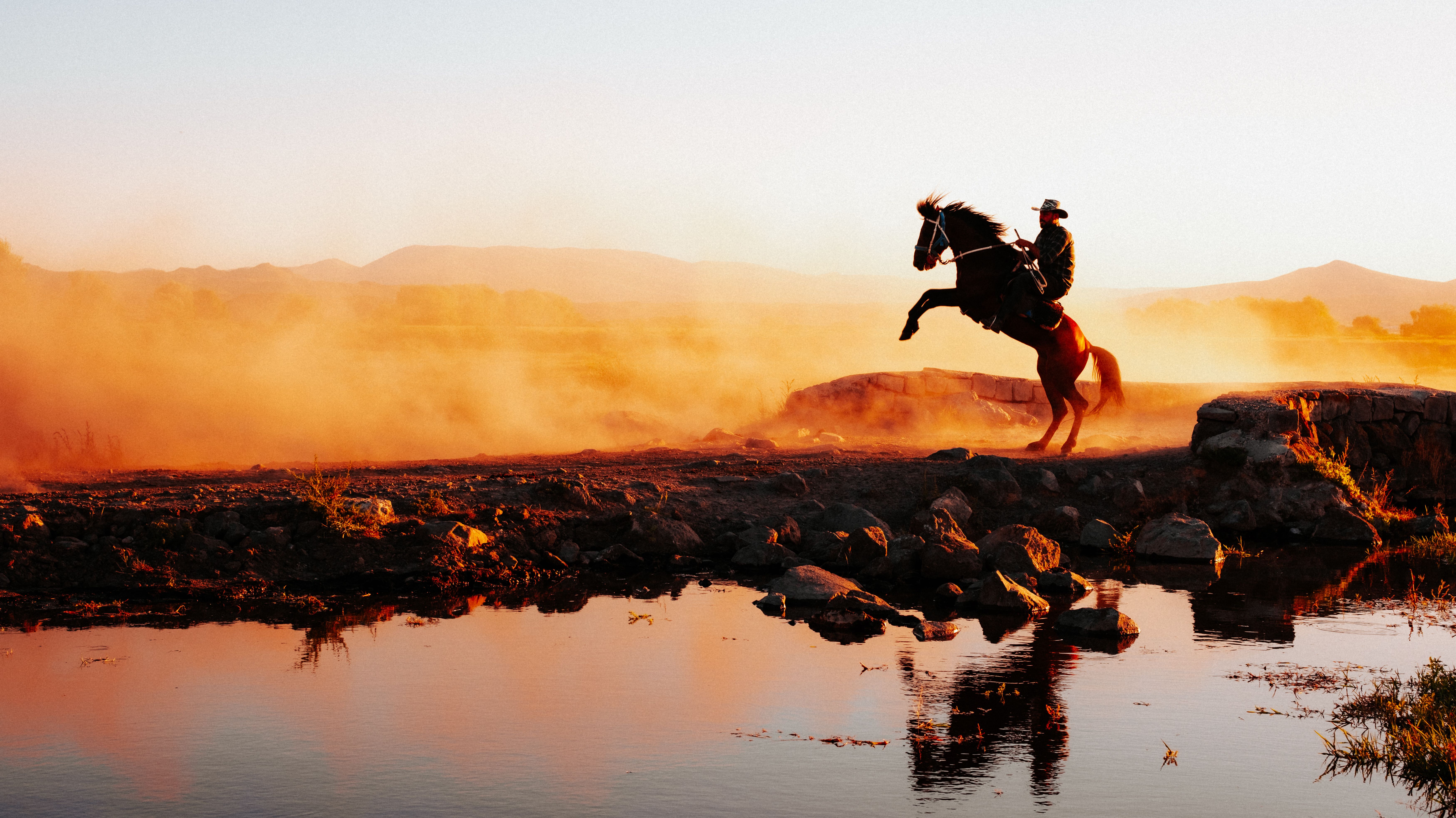 Man on Rearing Horse at Dawn · Free Stock Photo