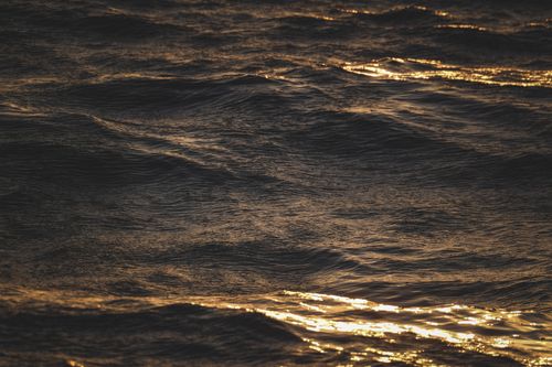 Free Capture the beauty of the golden light reflecting off the ocean waves at sunset. Stock Photo