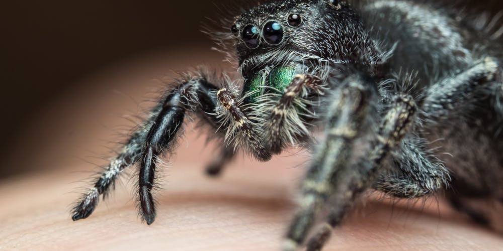 pexels photo 26889301 Jujutsu Kaisen Phần 3: Những Điều Cần Biết Về Mùa Anime Sắp Tới