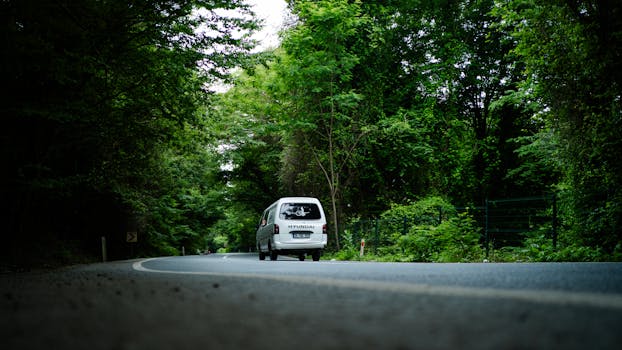 Image by Furkan Elveren