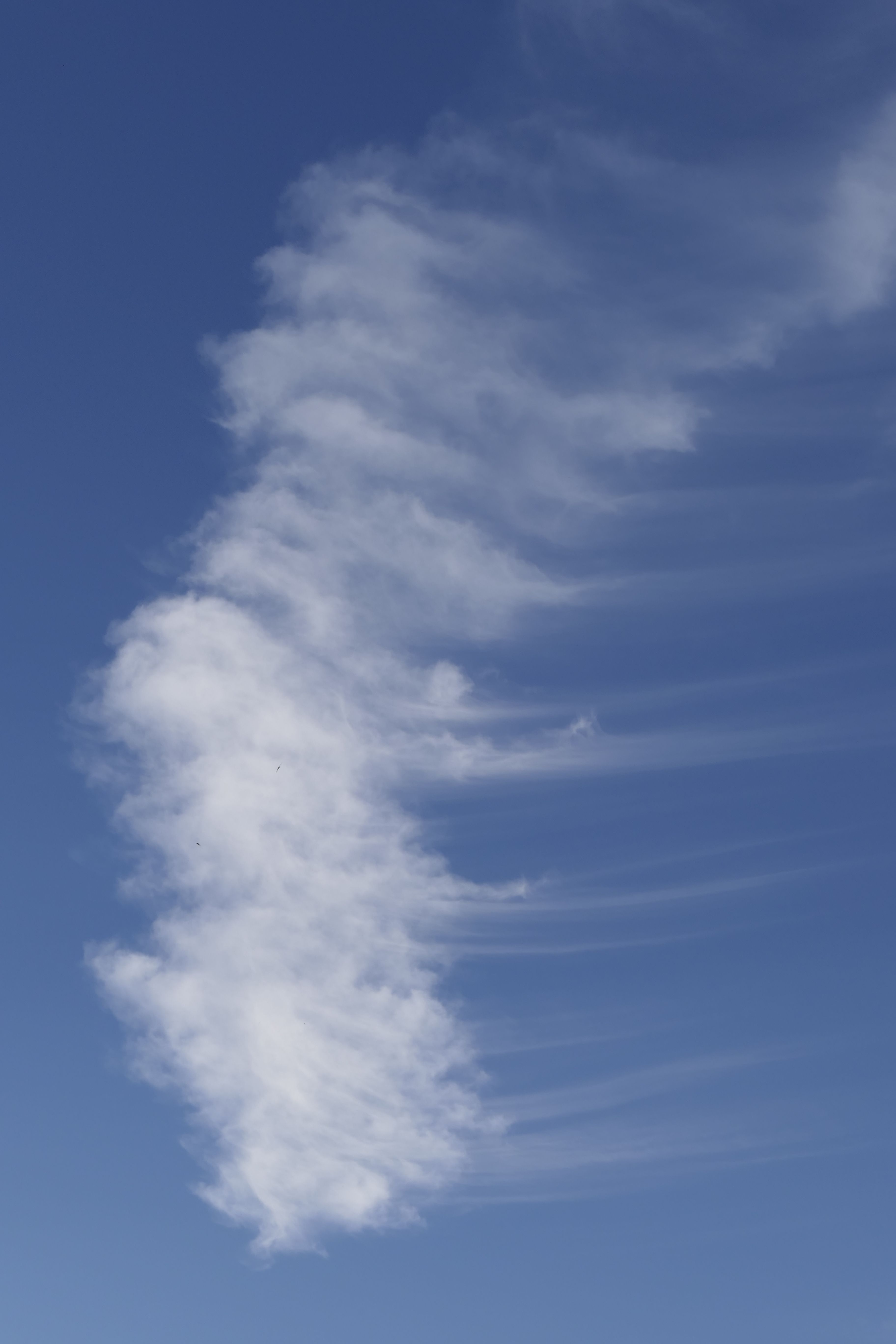 Peinture murale abstraite nuage bleu doré, affiches imprimées sur toile, art moderne indépendant, décoration murale pour salon, 50x100cm (20x39in) avec cadre
