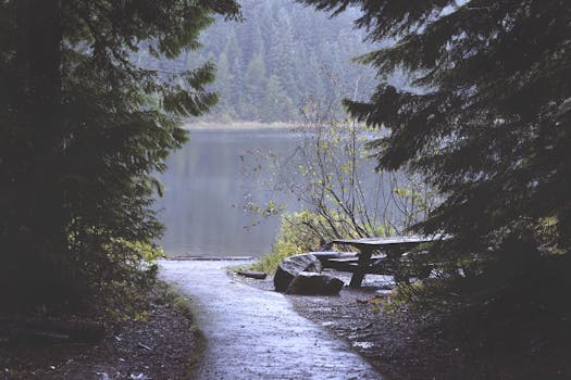 一条宁静的林间小路通向雾气缭绕的湖泊，湖畔树下摆着一张野餐桌