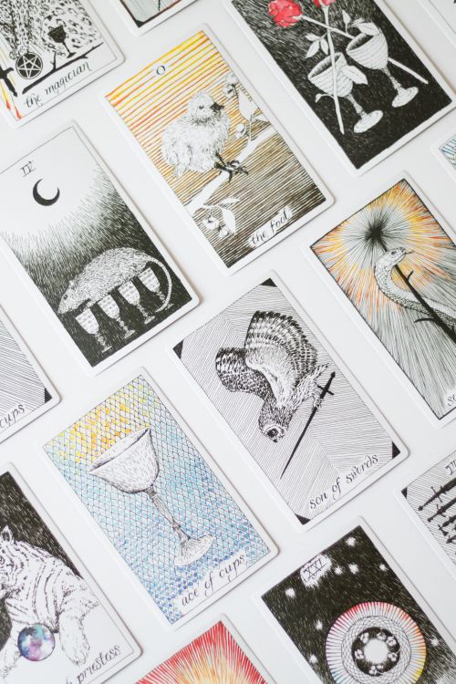 Free A variety of tarot cards arranged creatively on a white backdrop, perfect for divination themes. Stock Photo