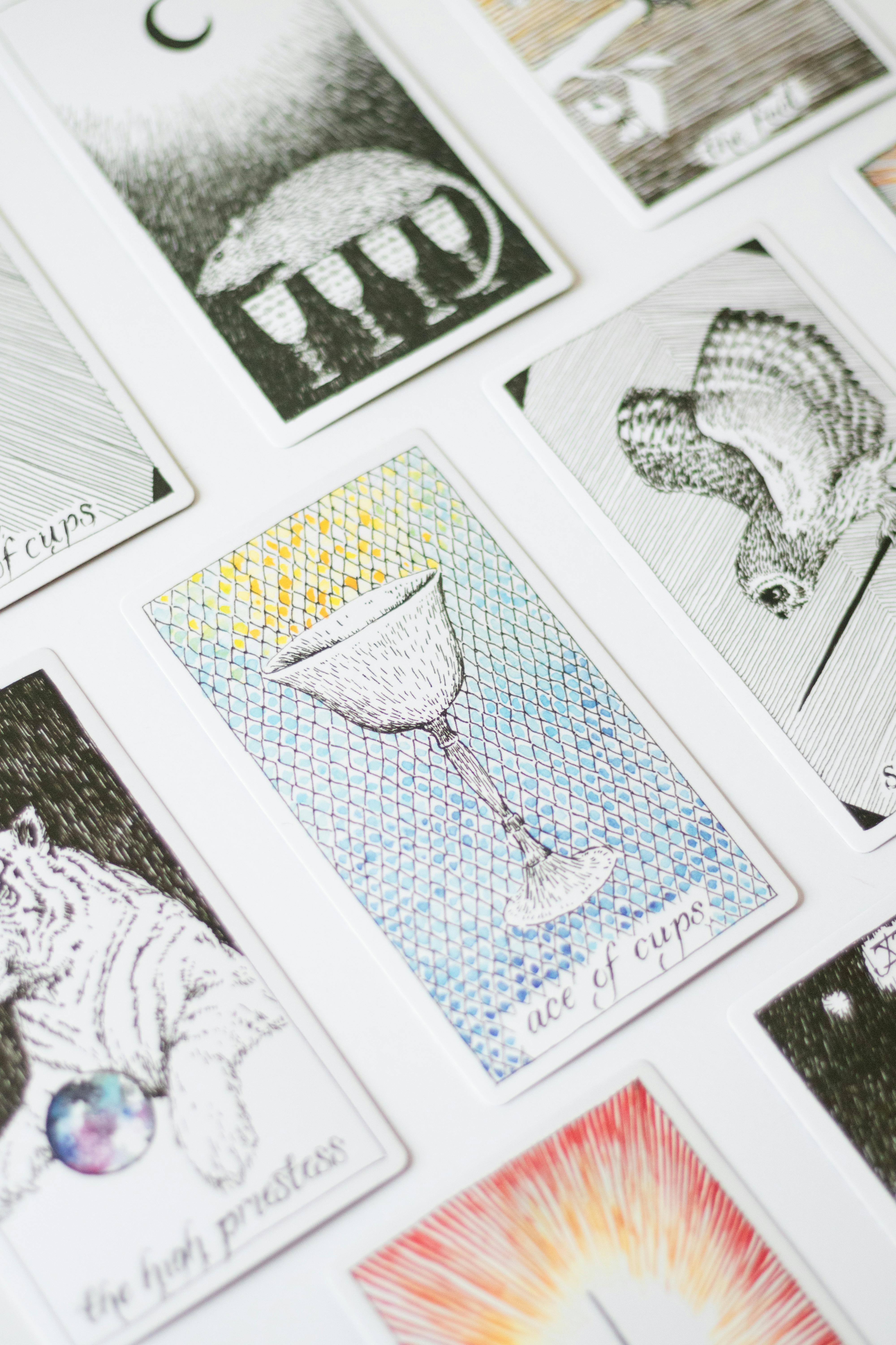 A collection of intricate tarot cards elegantly displayed on a white background, each illustrating unique designs.