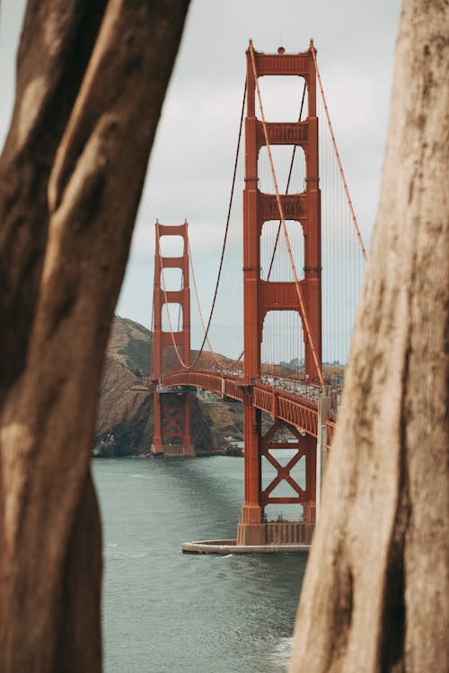 Selective Focus Photography of Brown Metal Bridge