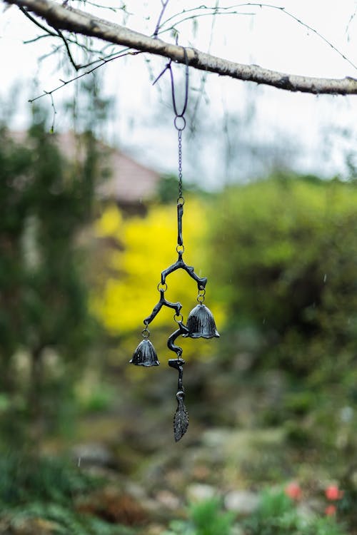Free Black Bell Hanging on Root Stock Photo