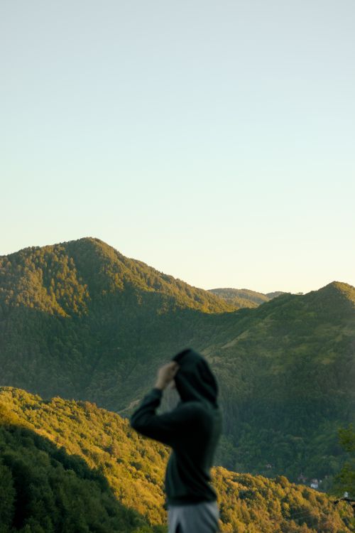 Free A person in a hoodie gazes at lush green mountains under a clear sky. Stock Photo