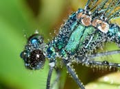 铅笔上覆盖着露珠的宏观特写镜头，突出了纹理细节