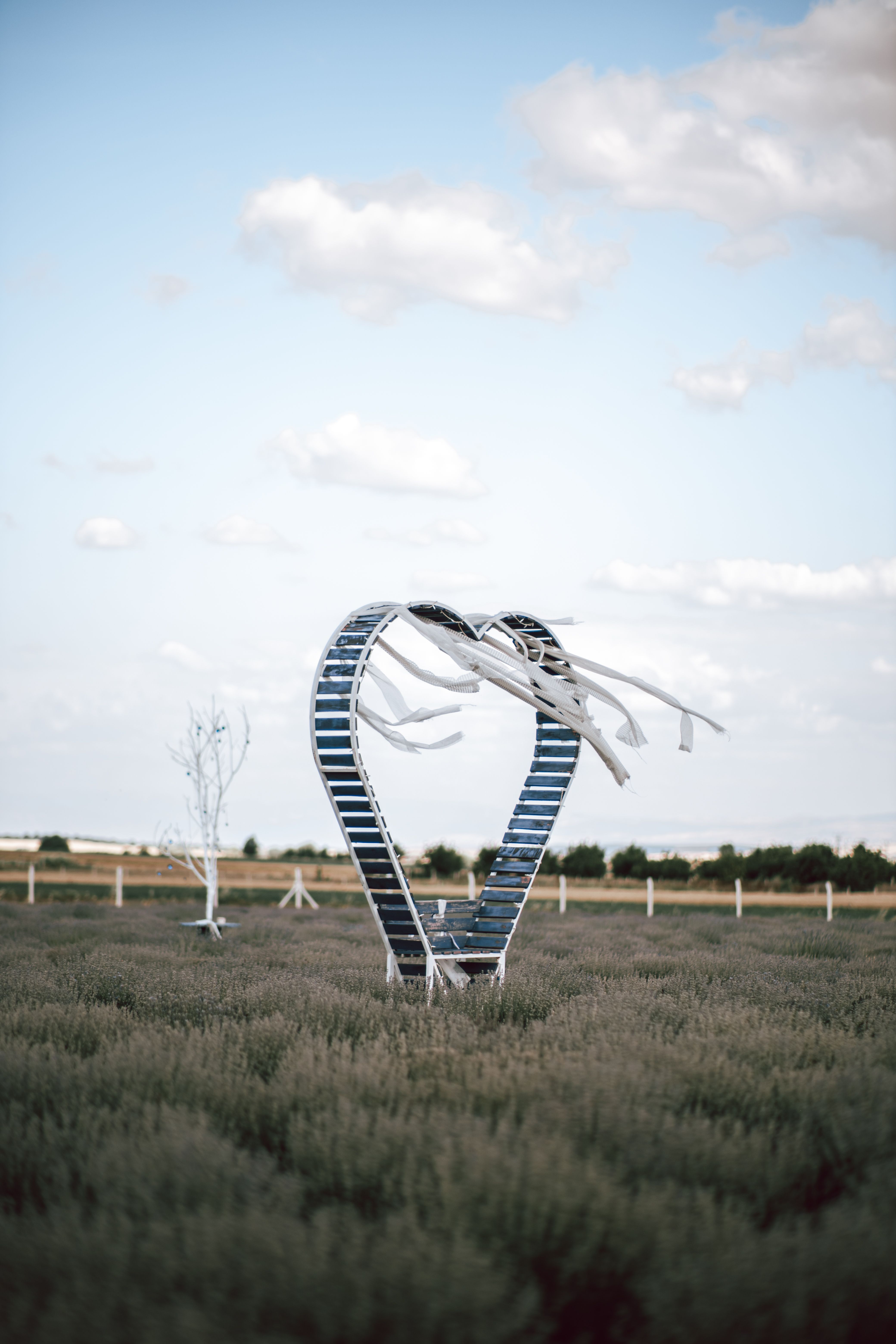 Heart-Shaped Decoration in the Field for Scenery Photos · Free Stock Photo