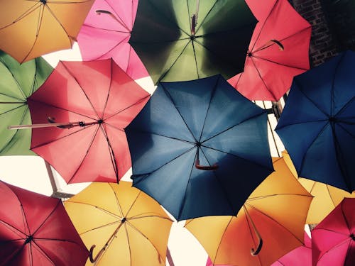 Free Umbrella Lot Stock Photo