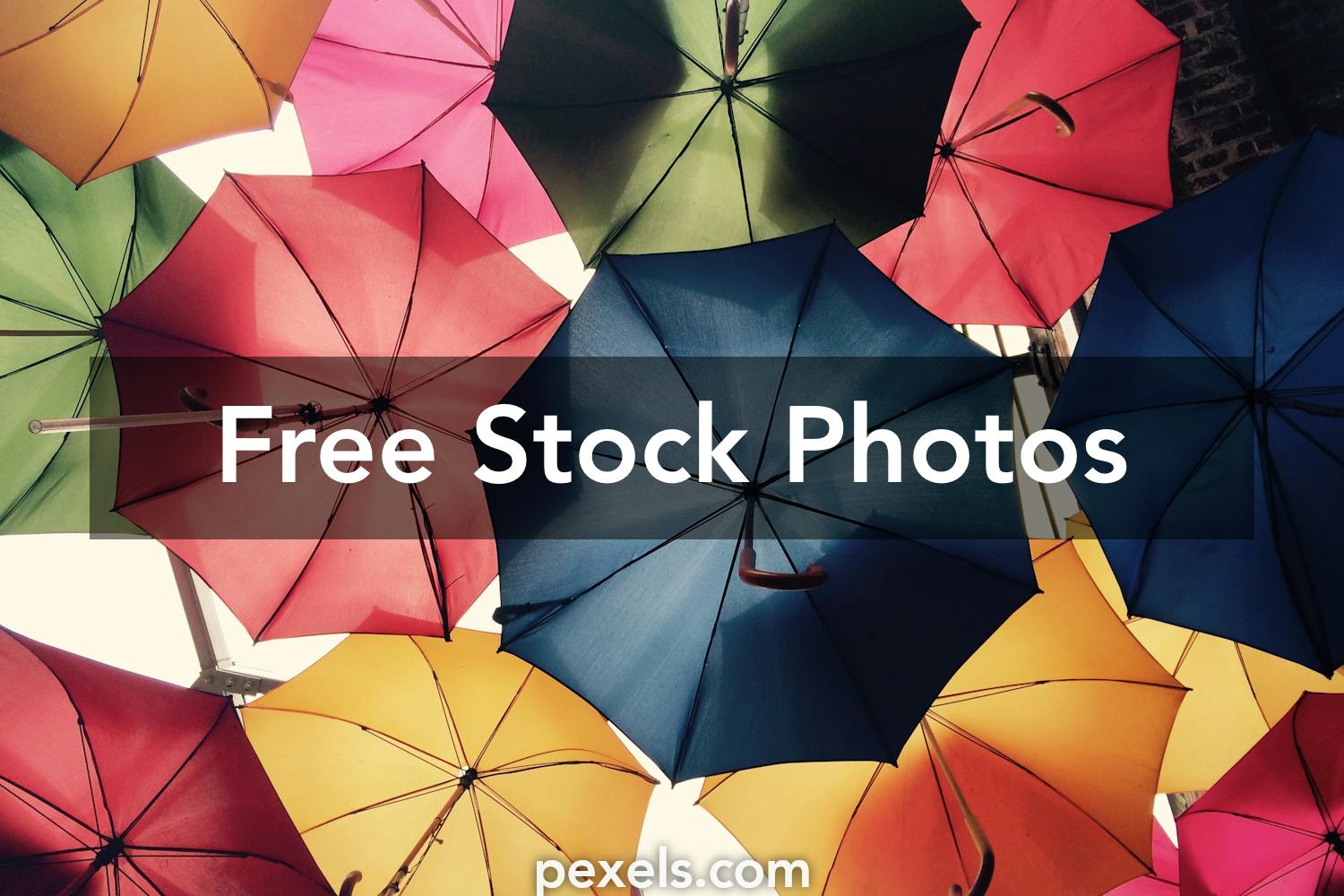 4 000 Best Facebook Cover Photos 100 Free Download Pexels Stock Photos Don't fall behind and make your own cover photo for fb. 4 000 best facebook cover photos 100