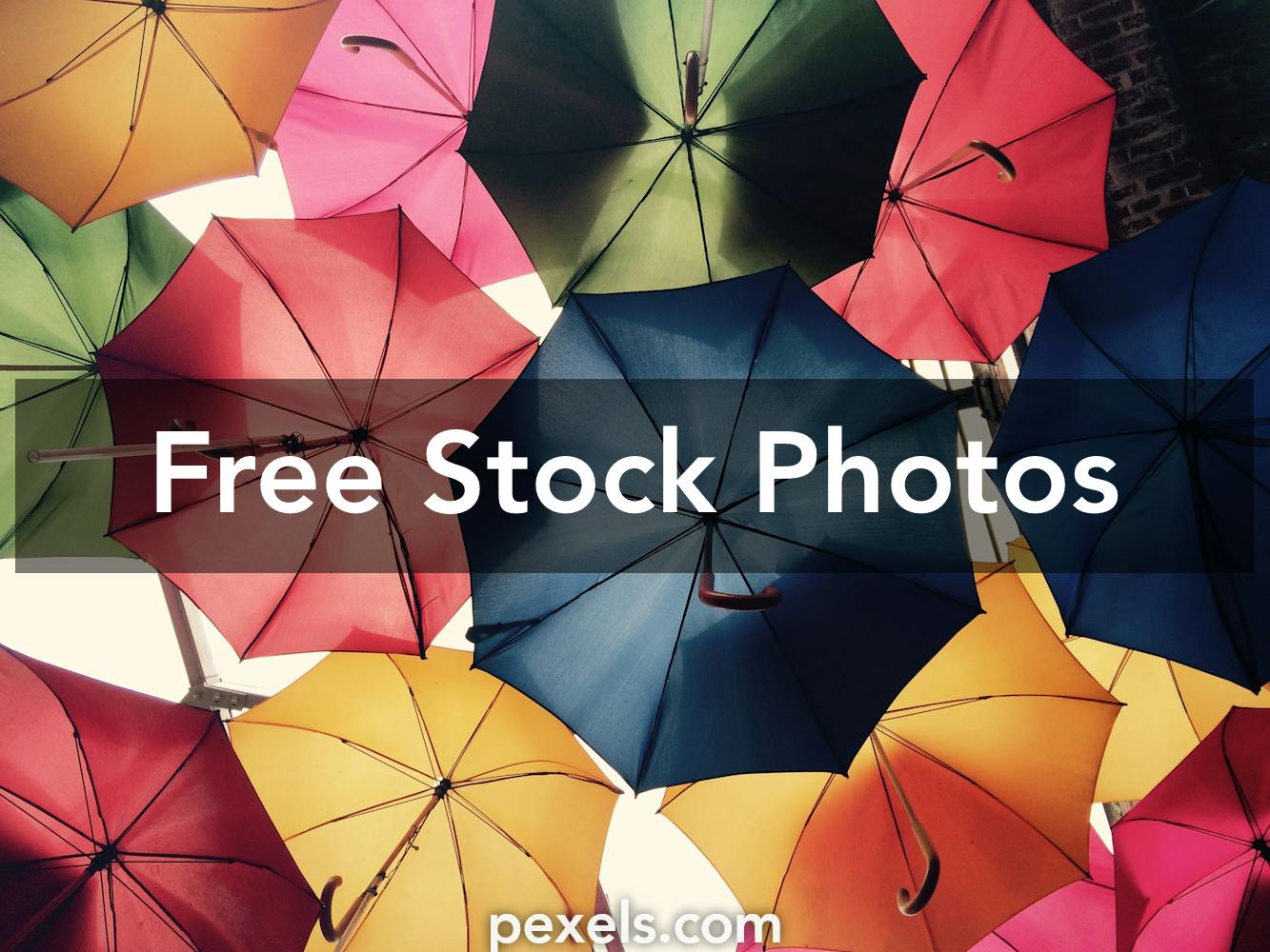 6 000 Best Facebook Cover Photos 100 Free Download Pexels Stock Photos