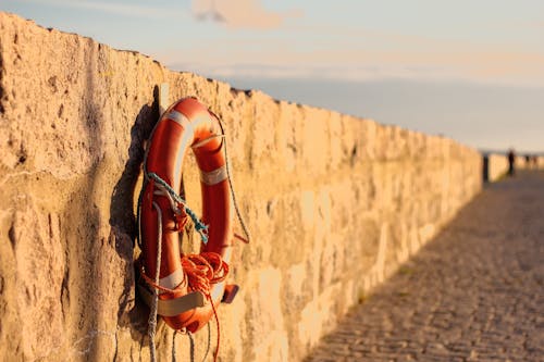 Orange Lifebuoy Hanged on Brown Wall
