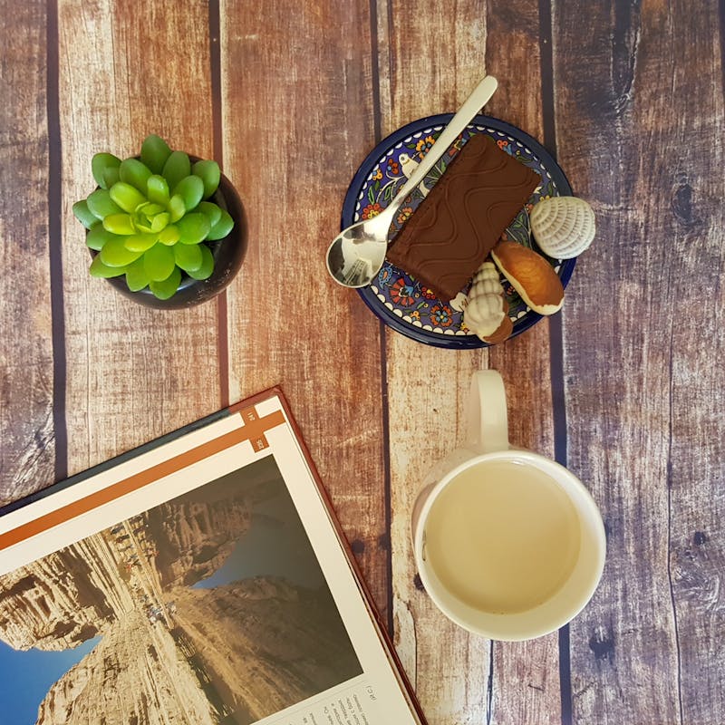 Content Marketing for Landscaping Companies