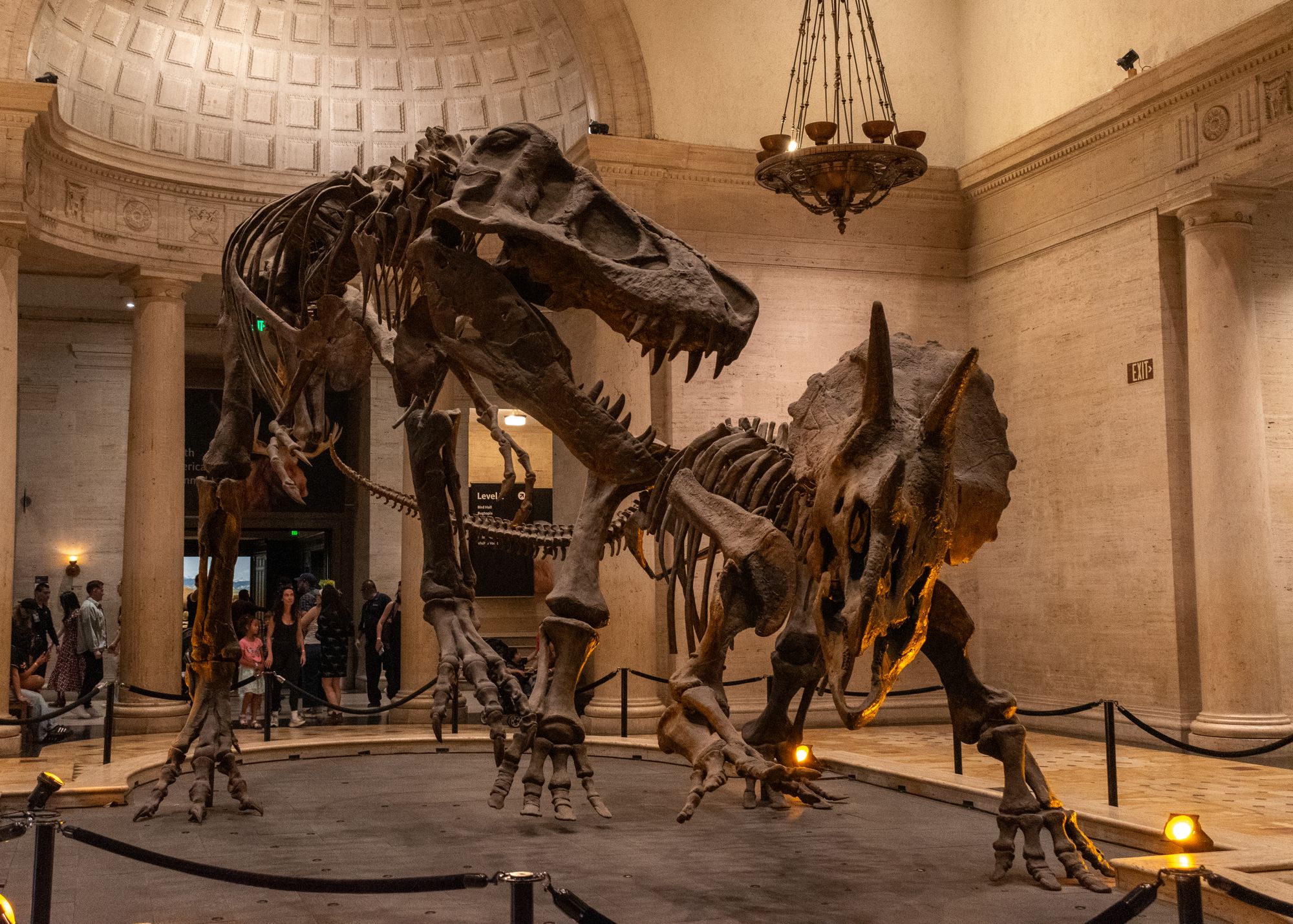 Jurassic World Rebirth’s Dinosaurs: What the Science Actually Gets Right