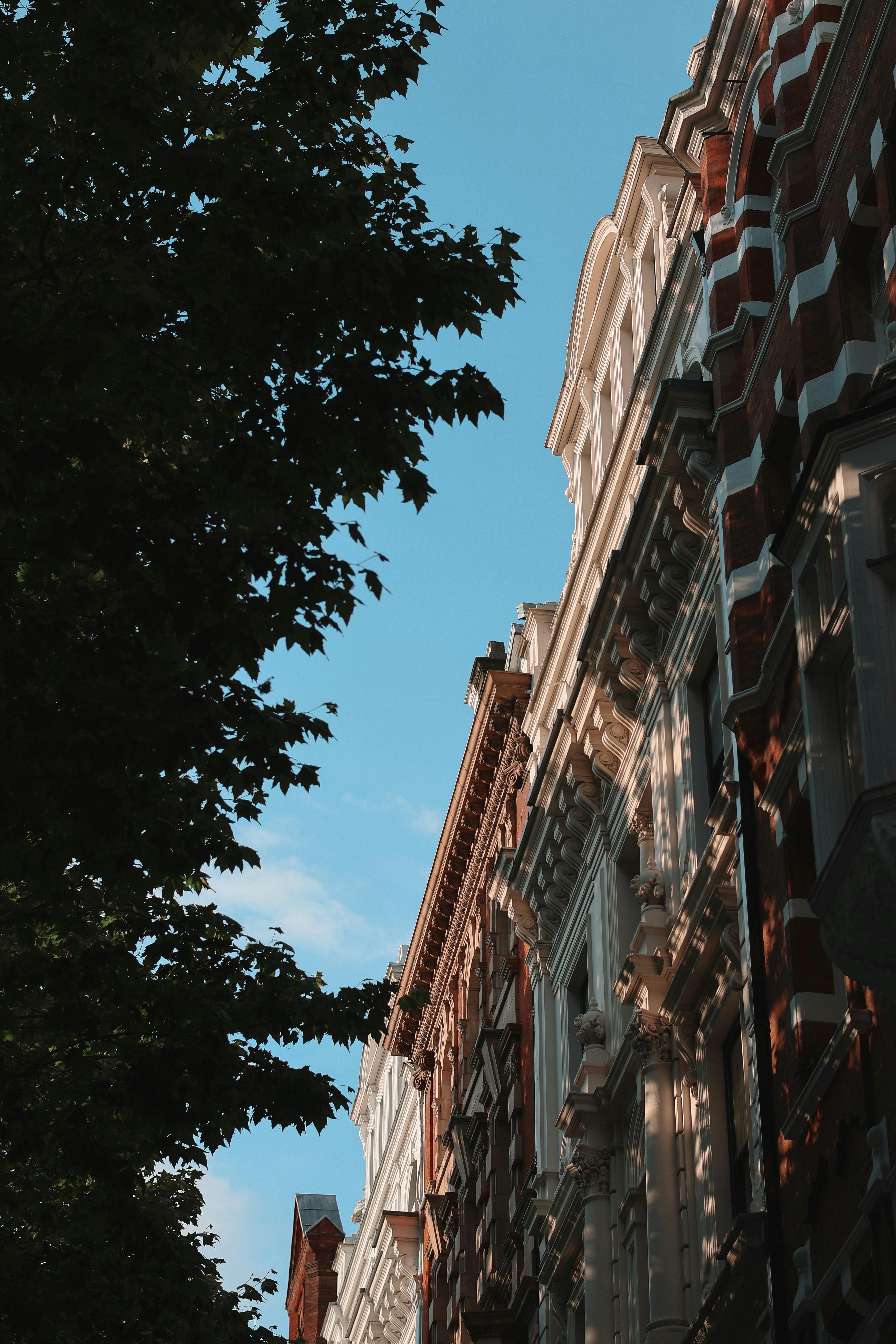 Elegant historic buildings in London with a backdrop of clear blue skies, showcasing distinctive architectural styles.