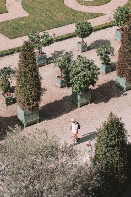 Free Aerial view of a garden in Paris with potted trees and a senior couple walking. Stock Photo