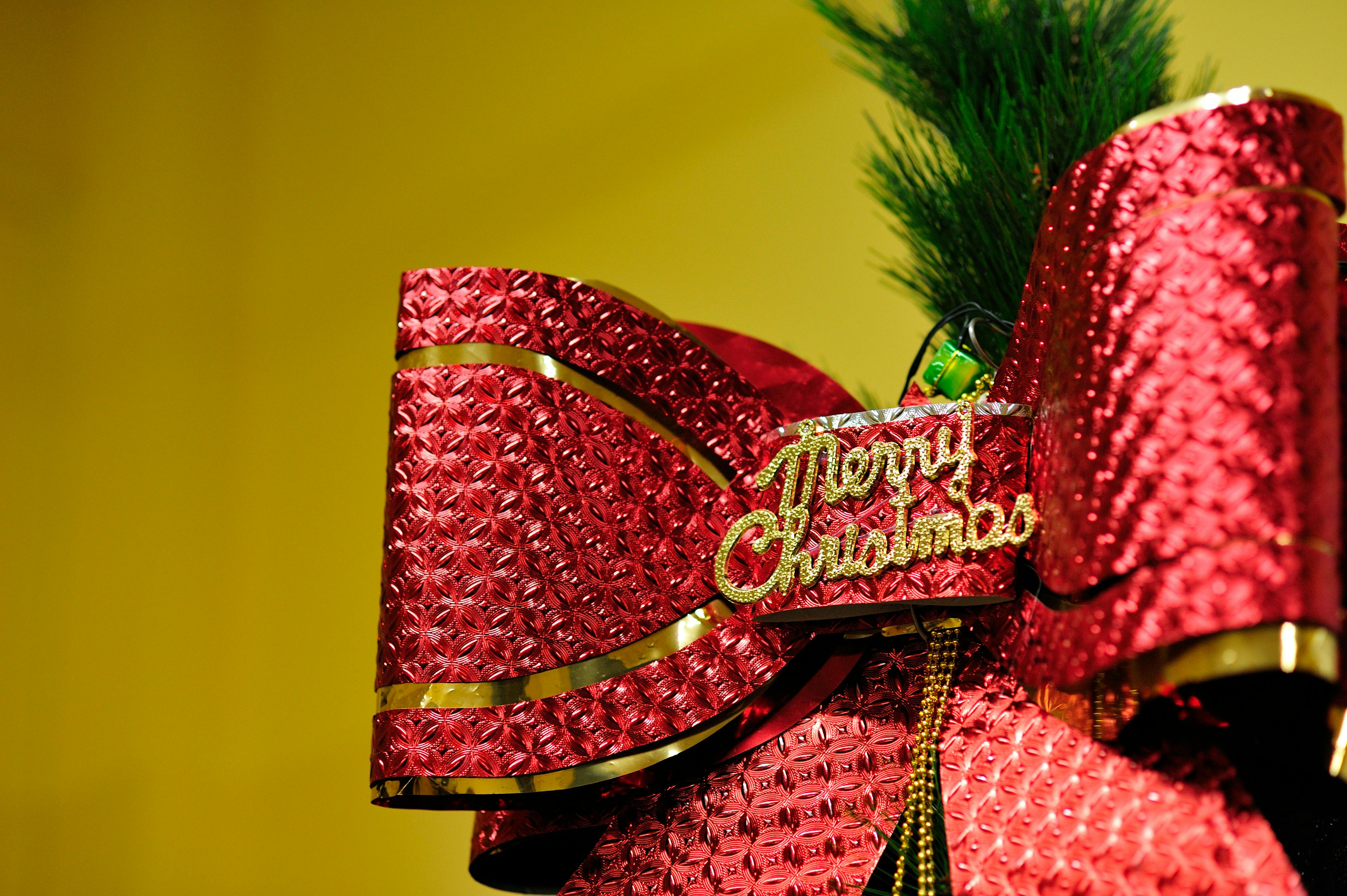 Free stock photo of merry christmas