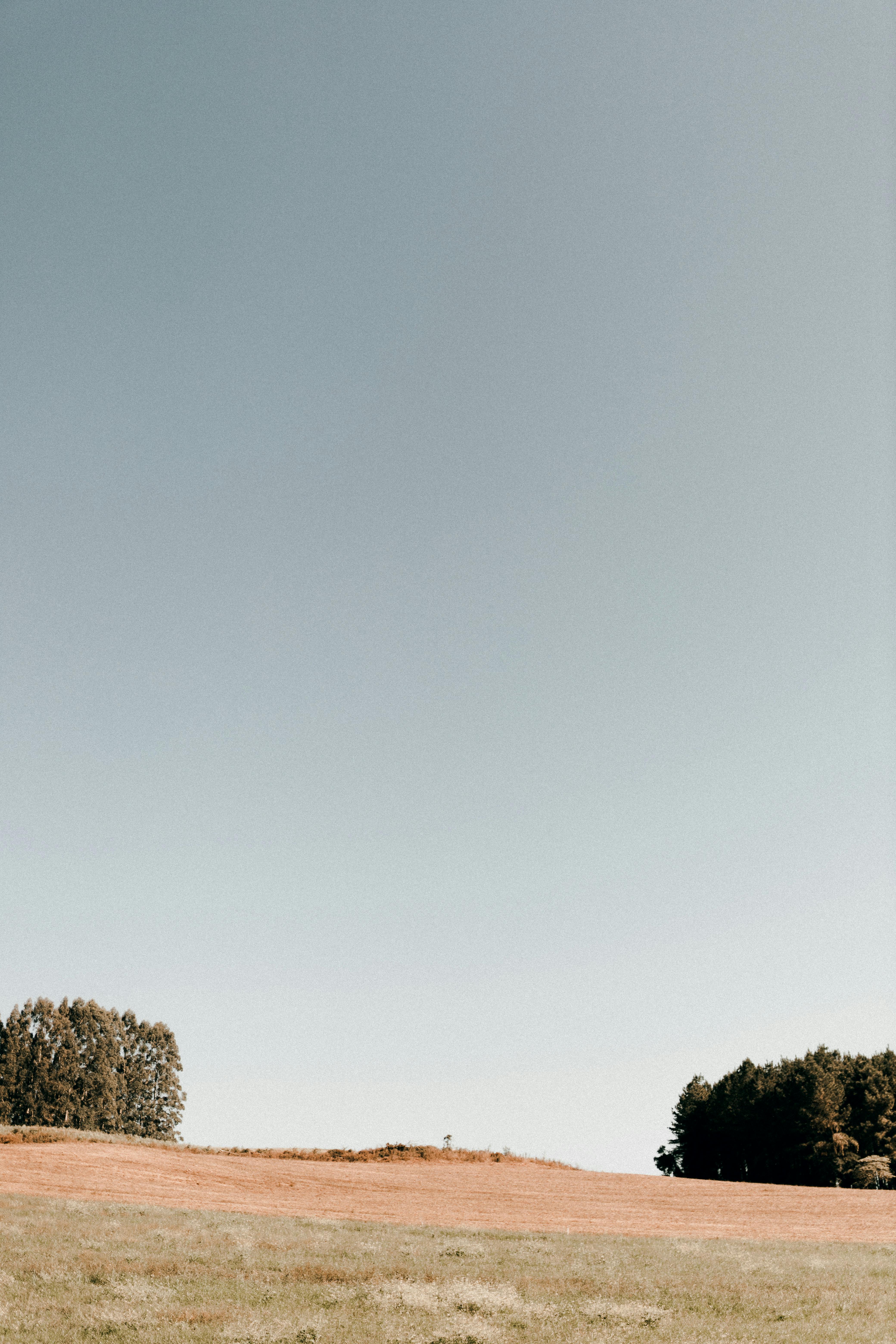 무료 경치, 경치가 좋은, 고독의 무료 스톡 사진