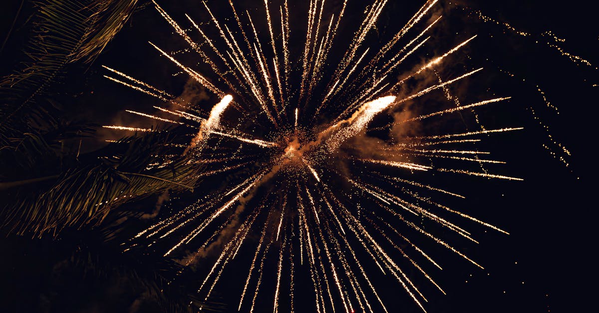 Photo by Tim Mossholder Captivating fireworks illuminate the night sky over palm trees in Honolulu, perfect for New Year celebrations.