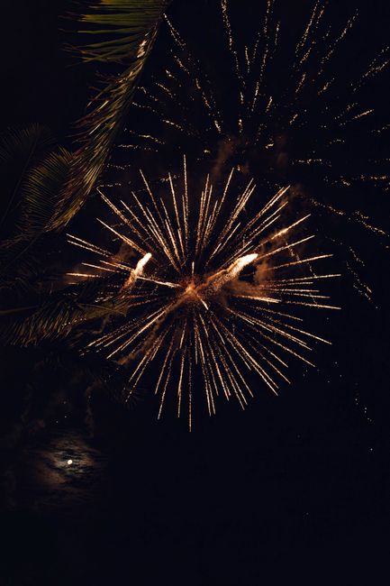 Photo by Tim Mossholder Captivating fireworks illuminate the night sky over palm trees in Honolulu, perfect for New Year celebrations.