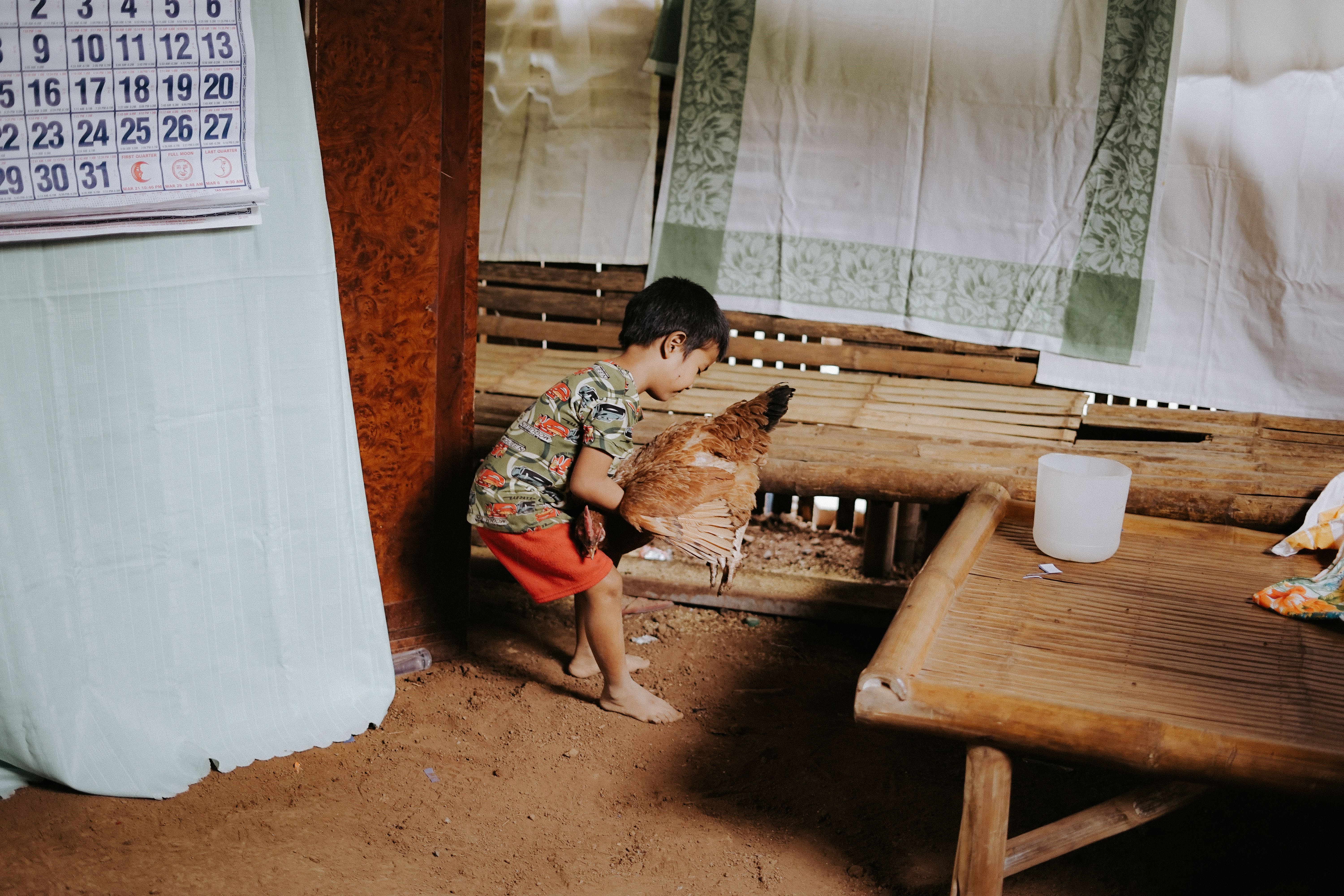 A young boy gently holding a chicken indoors, showcasing innocence and simplicity.
