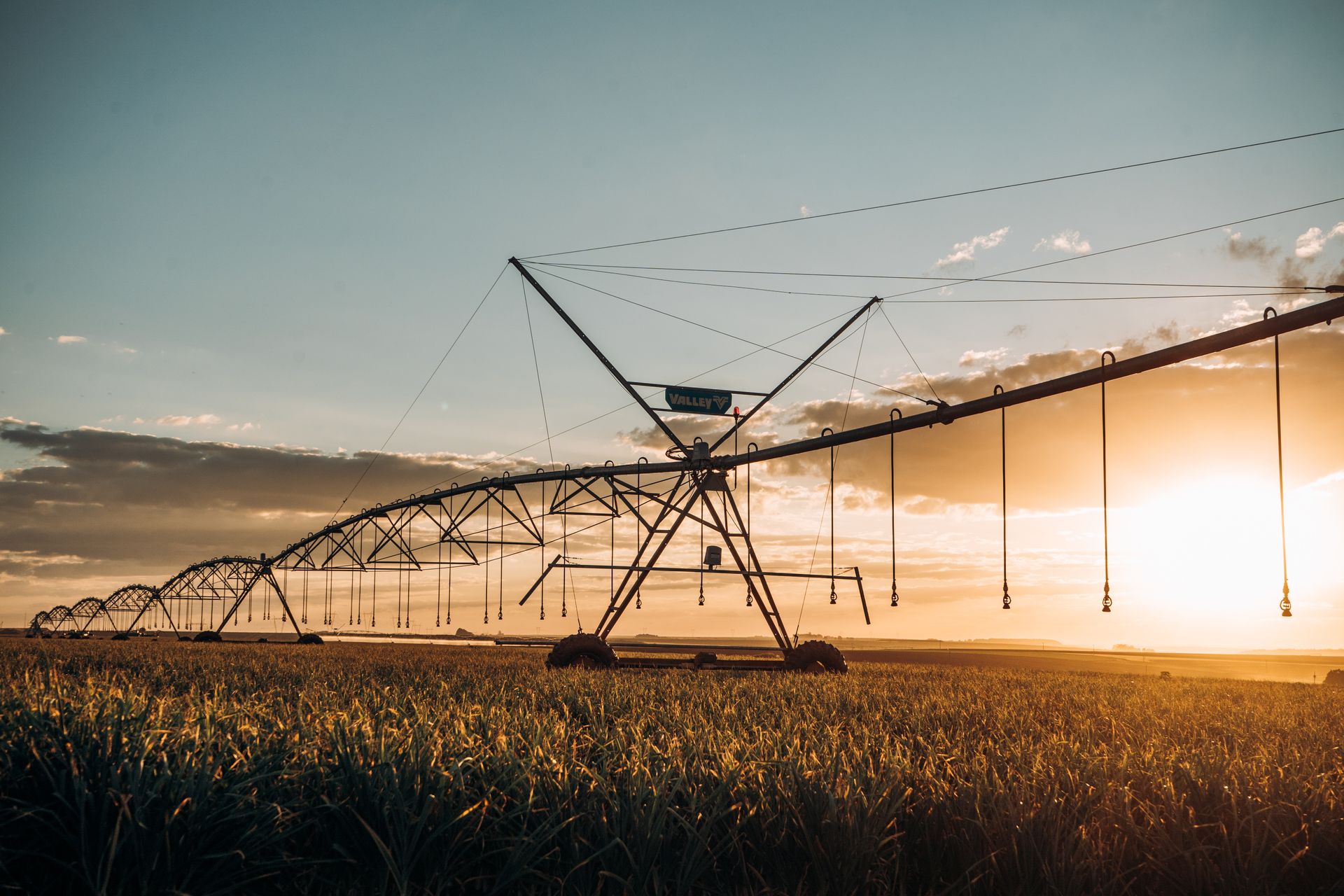 Irrigation System in an Agricultural Field