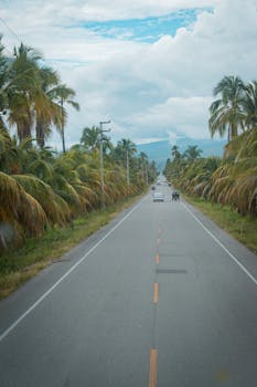 Tropical highway view with palm trees leading to mountains in Bagua Grande, Peru.