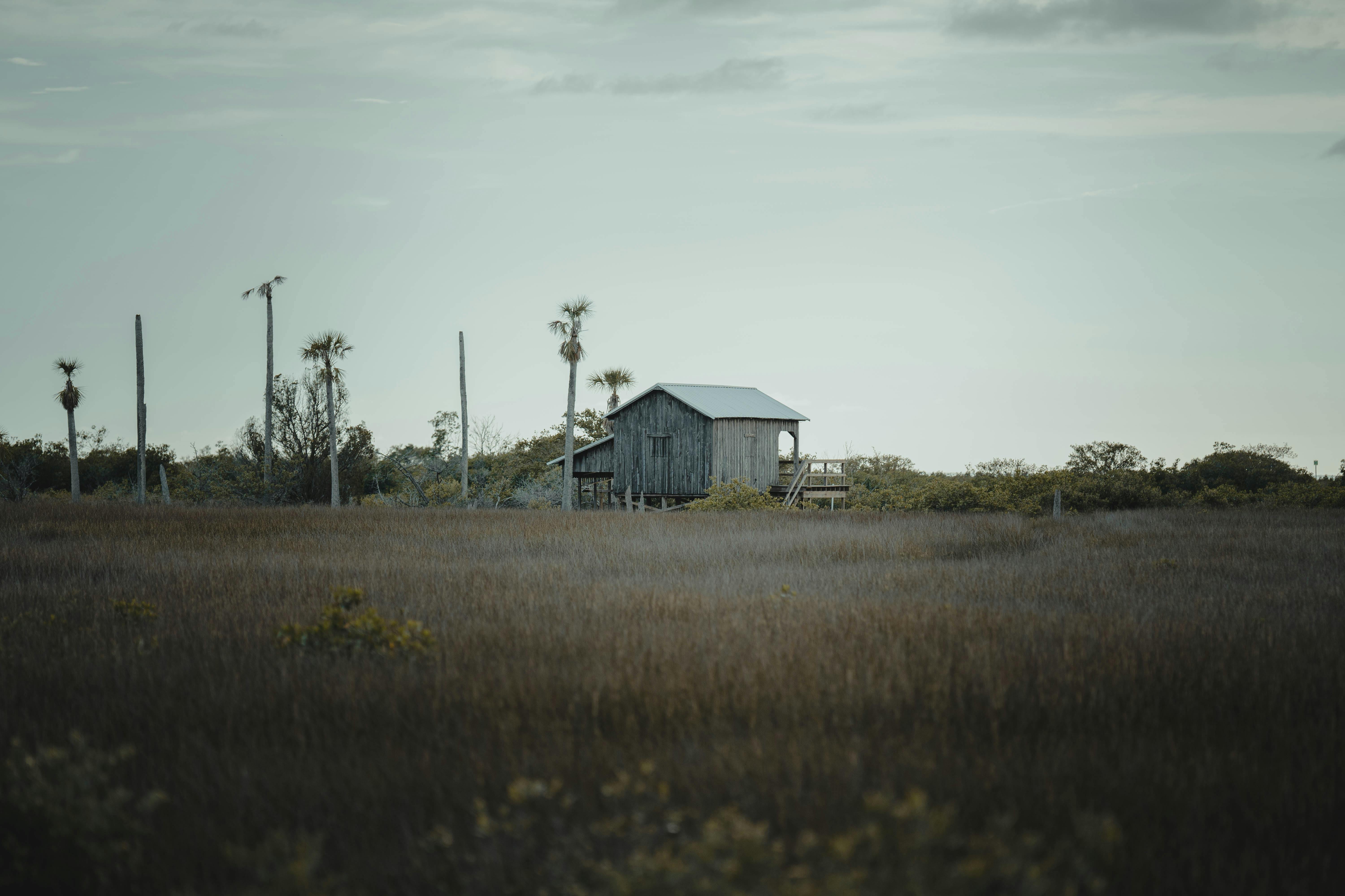 rustic prefab cabin in a wooded Florida area - prefab homes florida