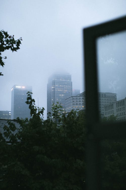 Green Trees Across City Building