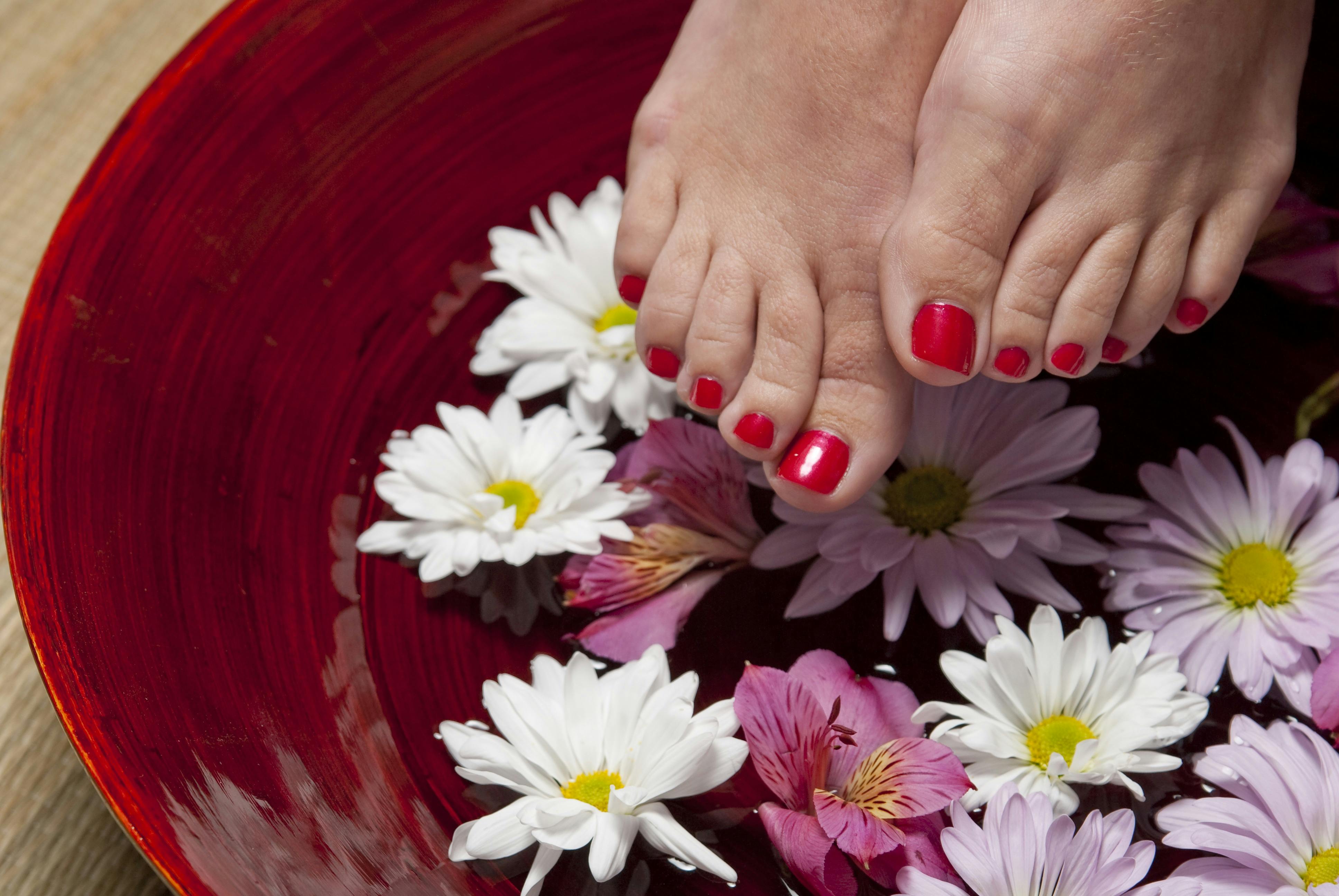 Free stock photo of feet, female, flower