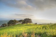 在多云的天空下，绿树成荫，美丽的乡村景观展现在眼前