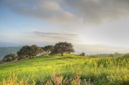 Free stock photo of dawn, landscape, nature, sky