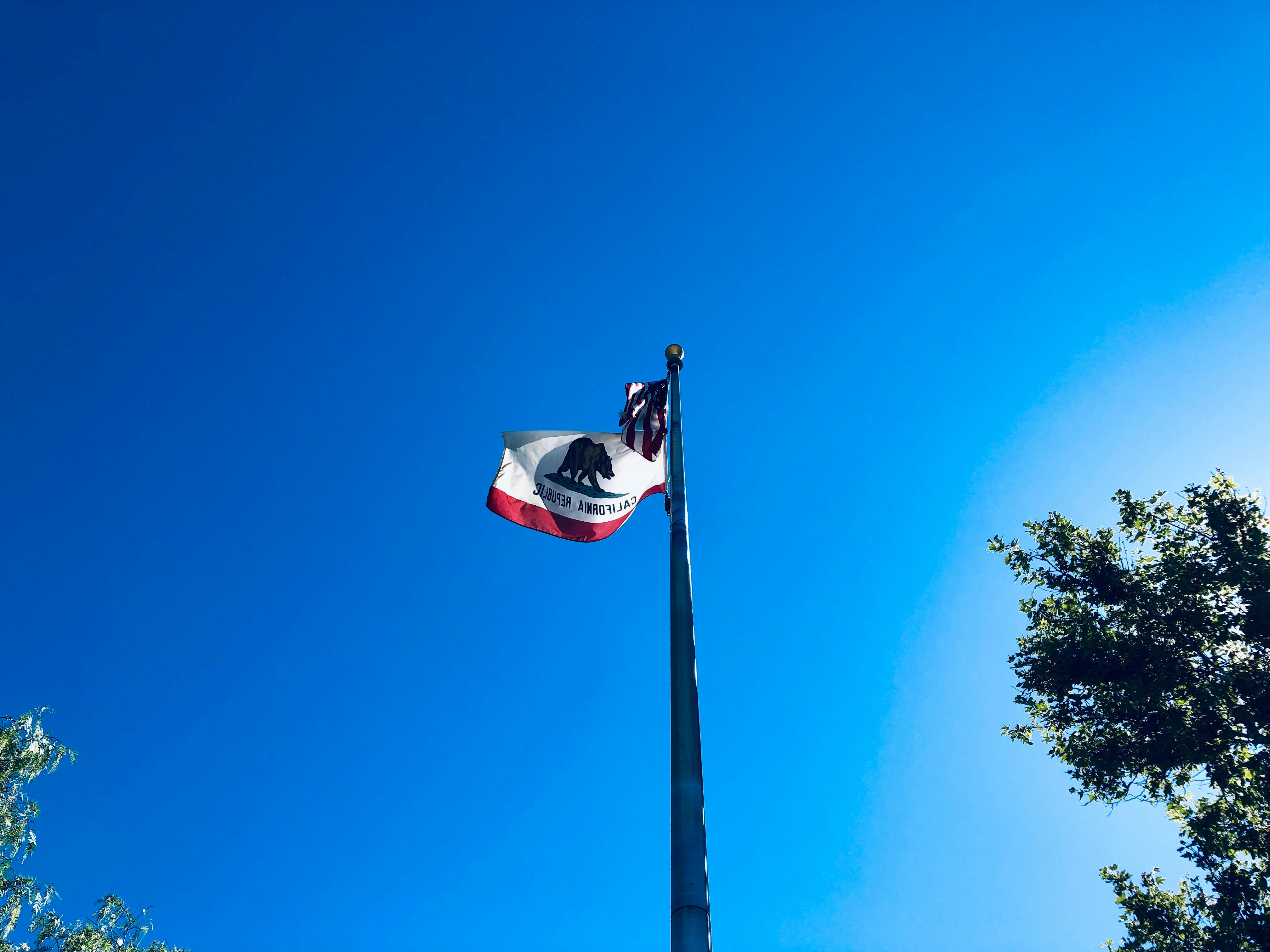 white-and-red-flag-free-stock-photo