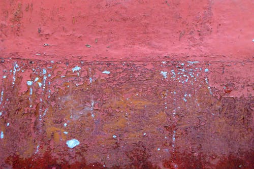 Darmowe zdjęcie z galerii z farba, milo, milotxtrs