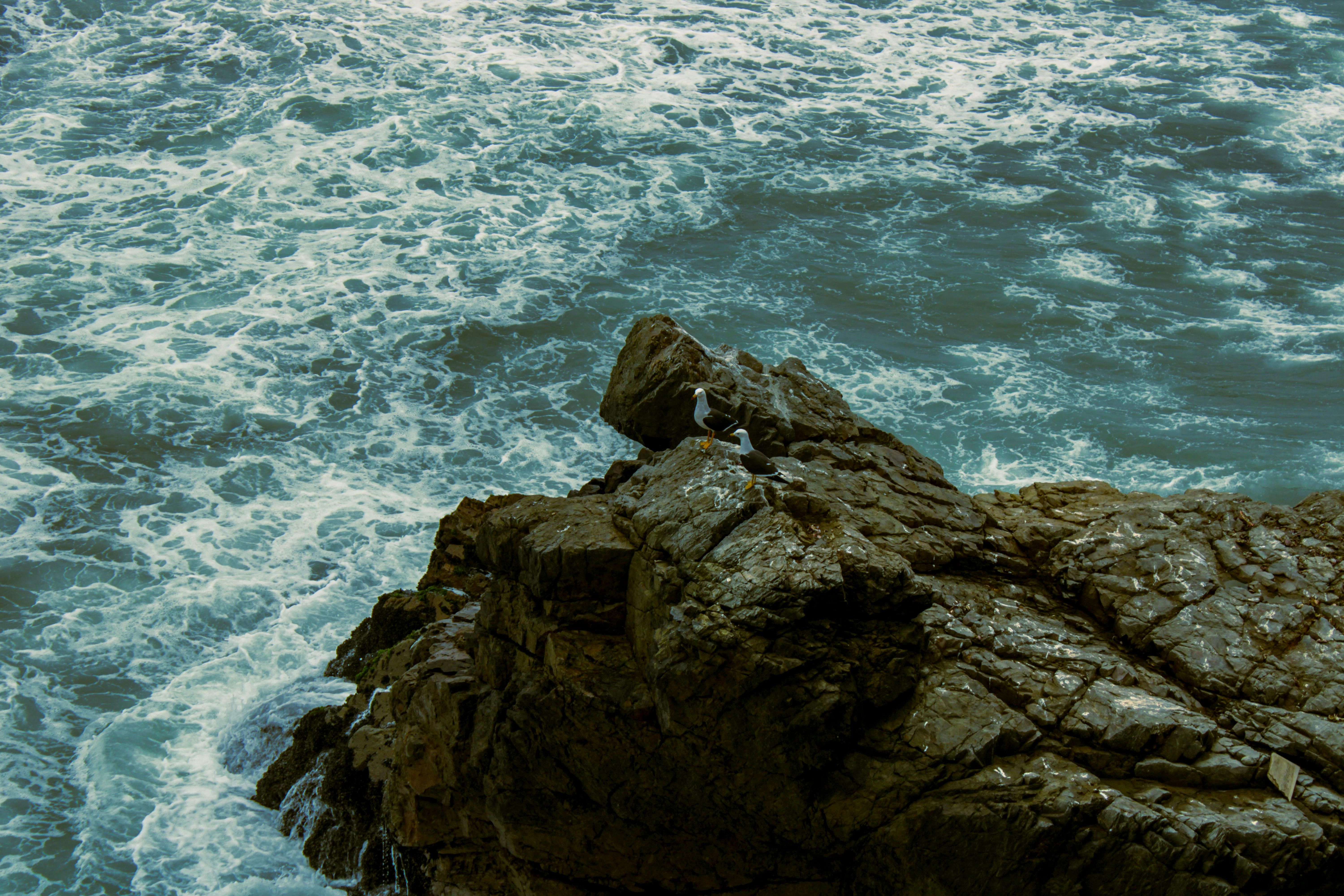 A More Troubling Picture of Sea Level Rise Is Coming into View — Photo by Anyela Málaga on Pexels