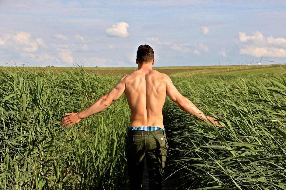 agriculture, back view, clouds