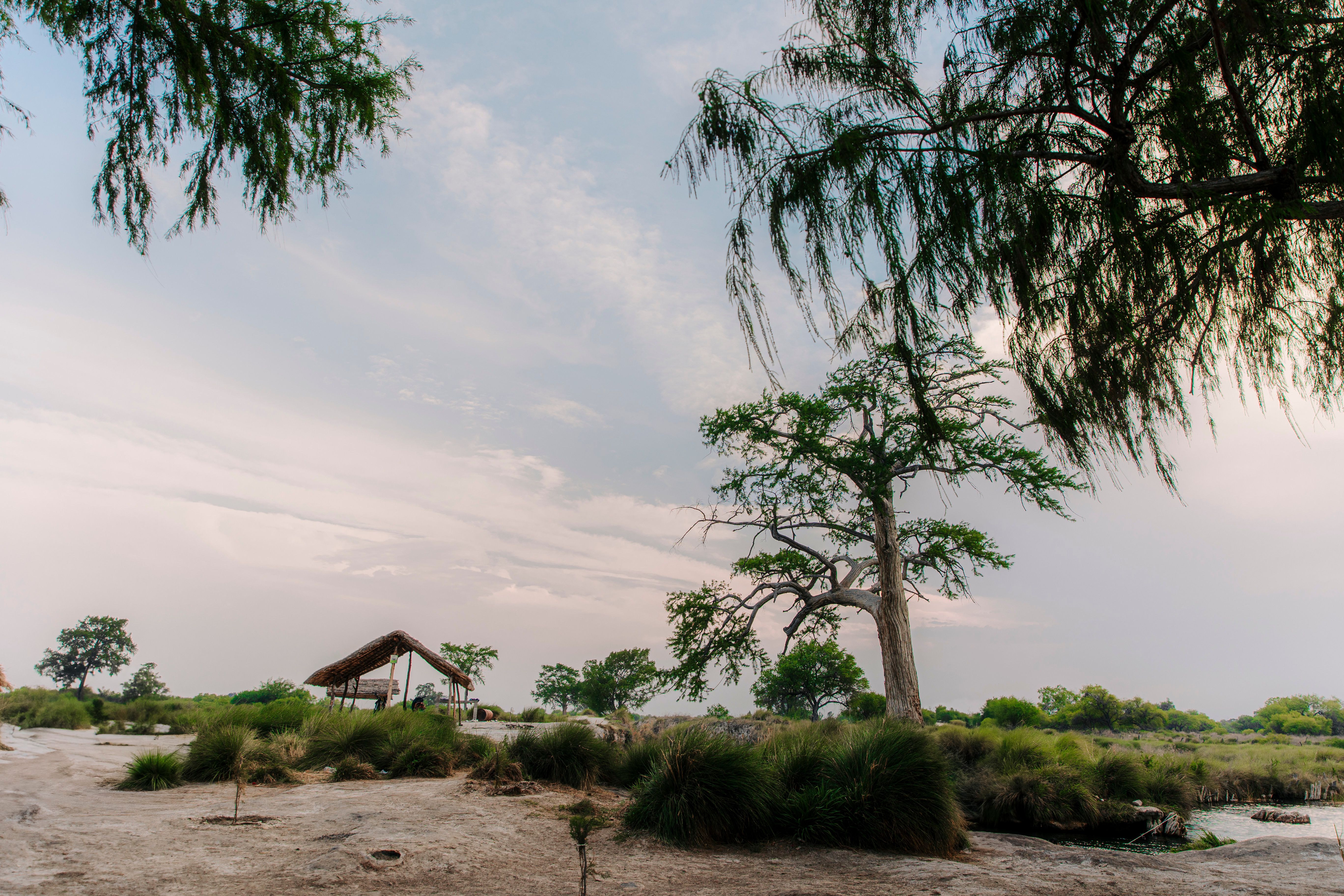 Chief's Island — Chief's Island
