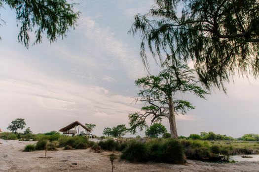 Scenic view of a hut and trees in a serene landscape with open sky.