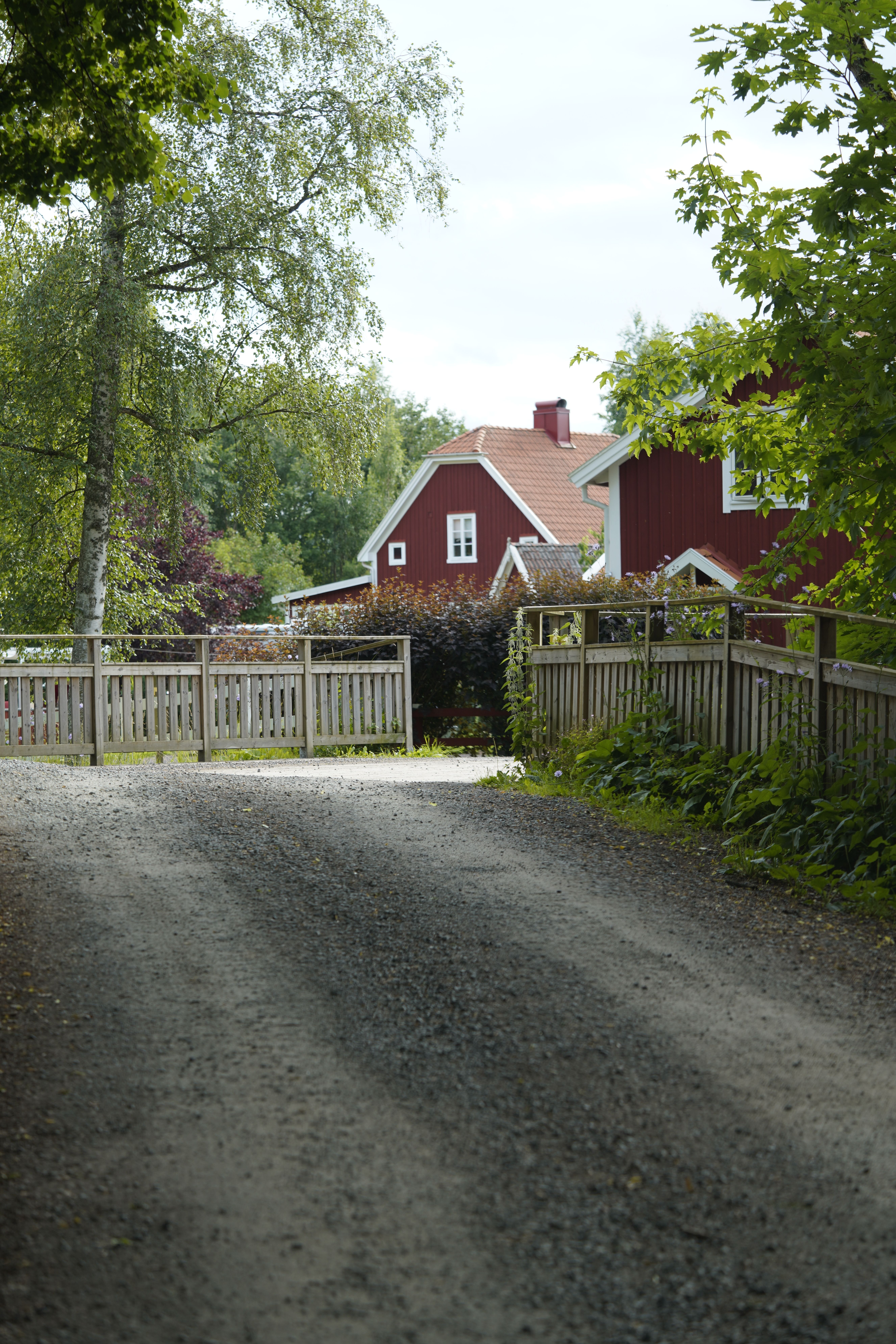 Idyllic rural scene with traditional red houses and a dirt road lined with wooden fences.