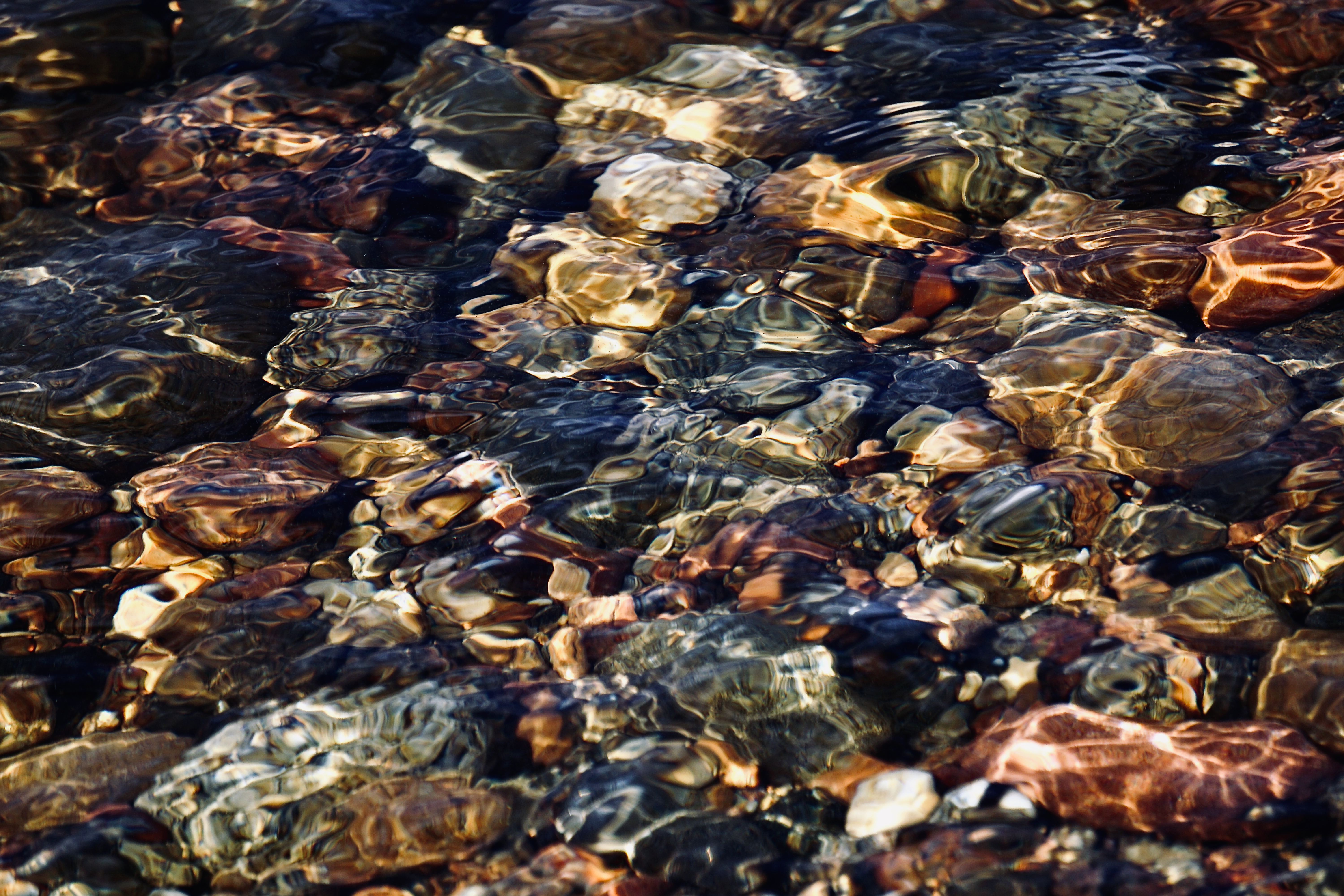 Rocks in Clear Stream · Free Stock Photo