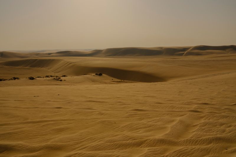 Sealine Desert