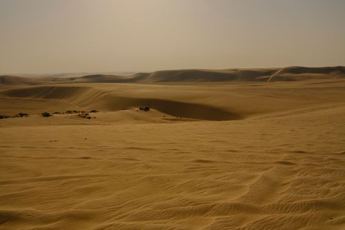 Free A serene view of expansive golden sand dunes under a sunny sky near Doha, Qatar. Stock Photo