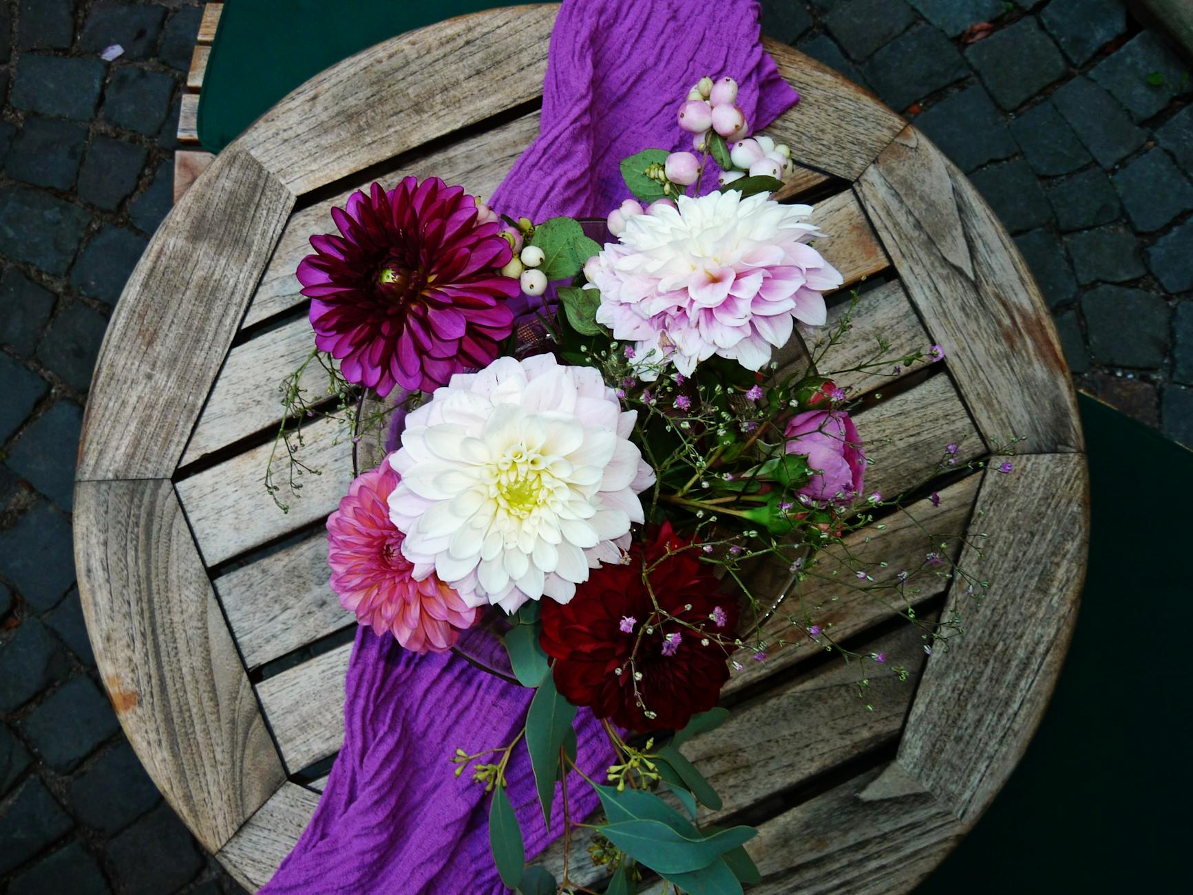  Fall Bloomers|7 Garden Flower Ultimate Ideas for Every Season