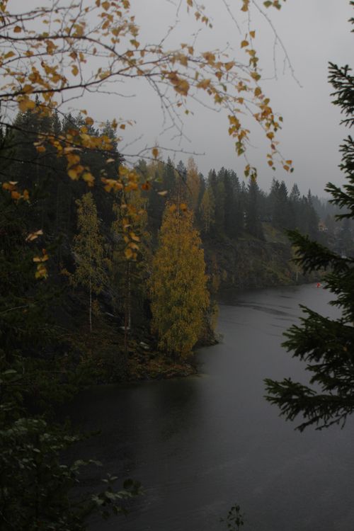 Free Tranquil autumn scene of a riverbank shrouded in a misty forest with golden foliage. Stock Photo