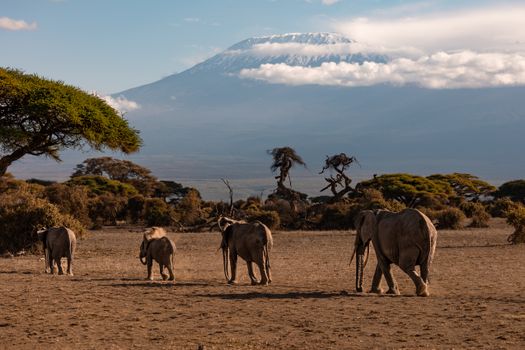 Zanzibar or Serengeti post-climb — Kilimanjaro