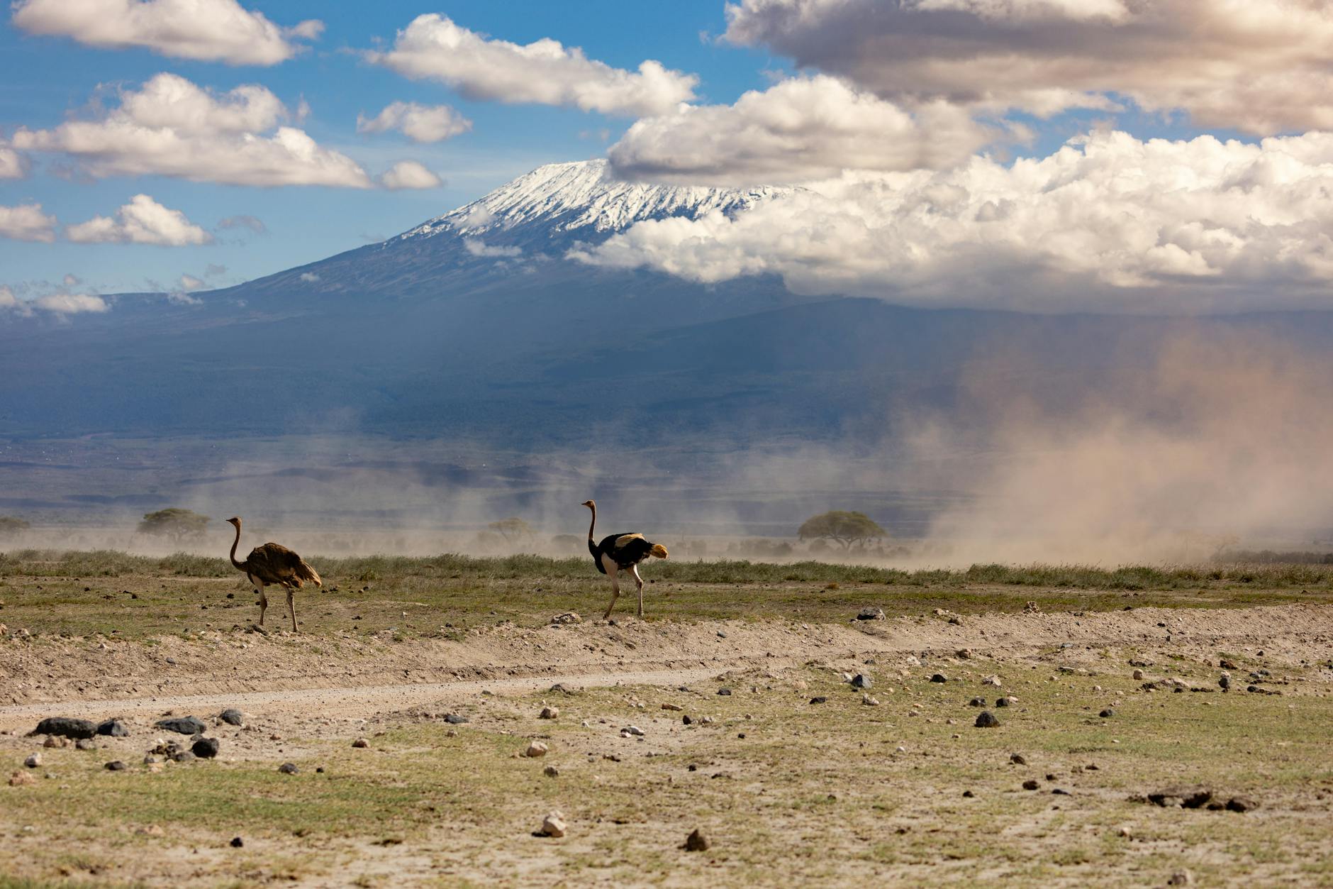 응고롱고로 분화구 (탄자니아) 갤러리 이미지