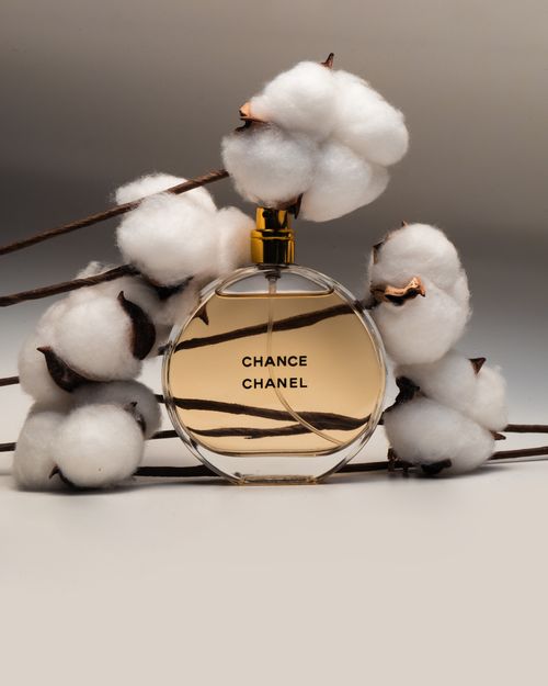 Free Stylish composition of a perfume bottle surrounded by cotton branches, perfect for beauty branding. Stock Photo